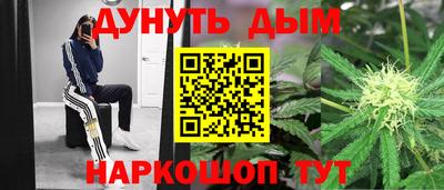 spice Сланцы