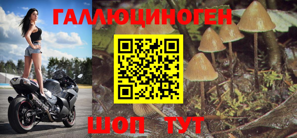 Белореченск  Псилоцибиновые грибы GOLDEN TEACHER  Вход с VPN 